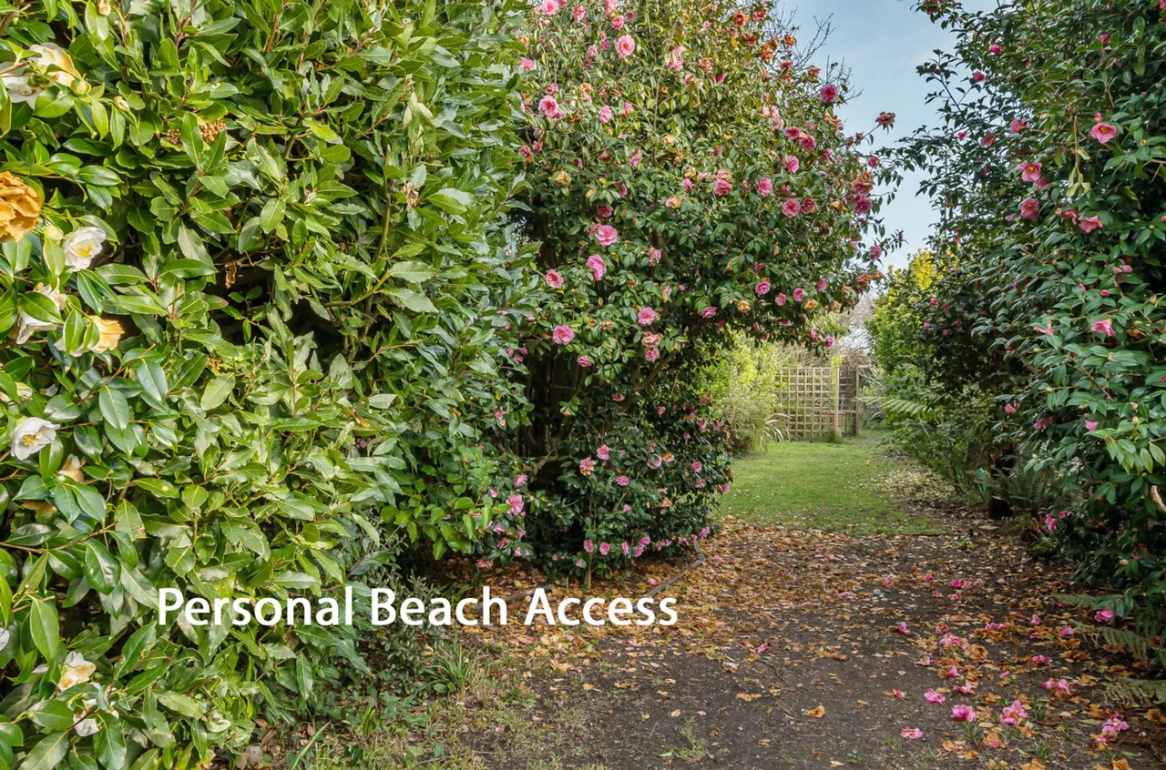 Kingsway, Bognor Regis, PO21, photo 4