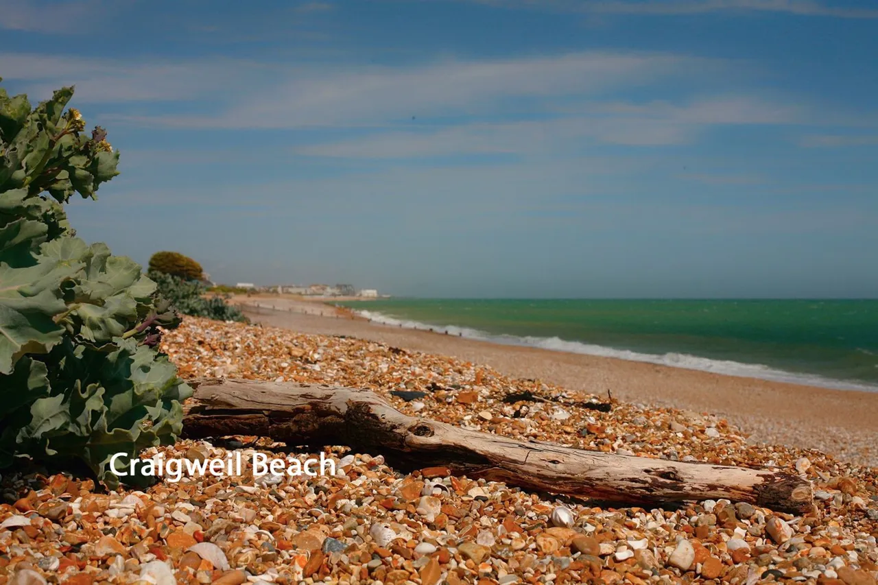 Kingsway, Bognor Regis, PO21, photo 3