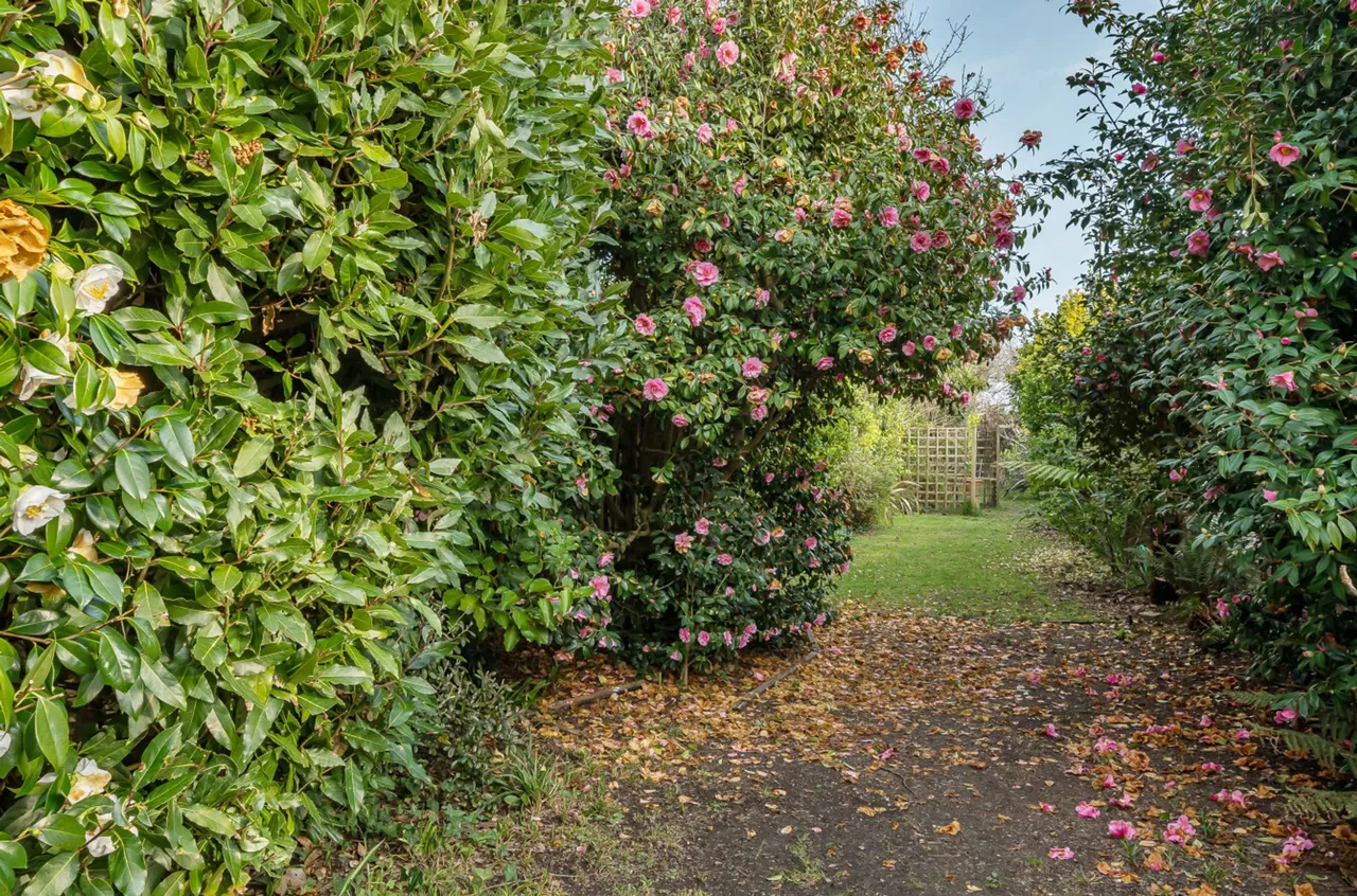 Kingsway, Bognor Regis, PO21, photo 32