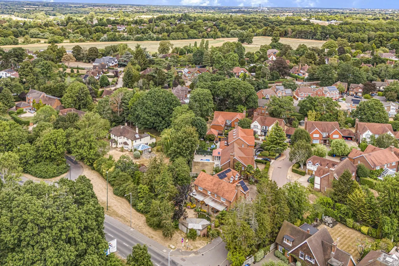Willow Drive, Maidenhead, photo 17