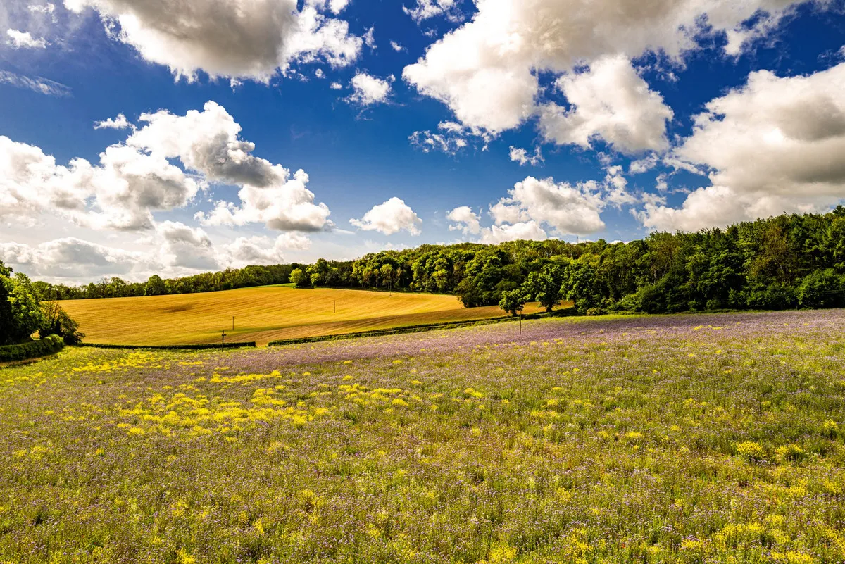 Checkendon Hill House, RG8, photo 19