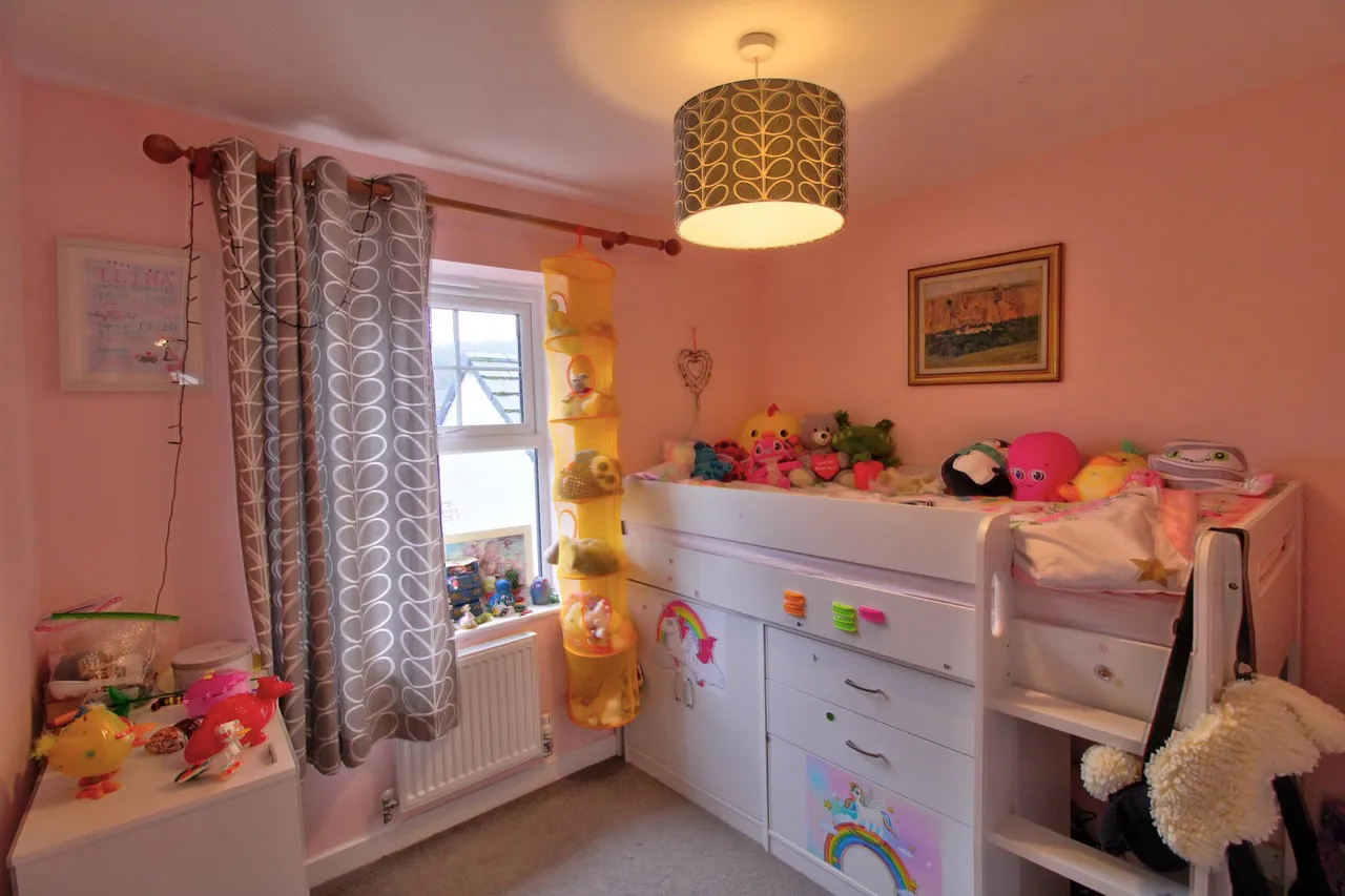 Opulus Way, Monmouth, NP25, photo 20