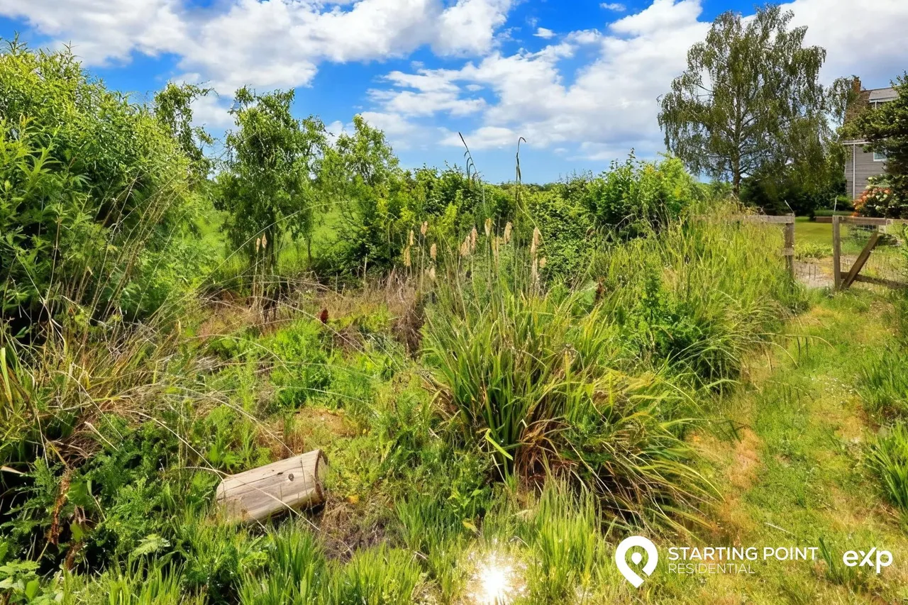 Birch, Colchester, CO2, photo 46