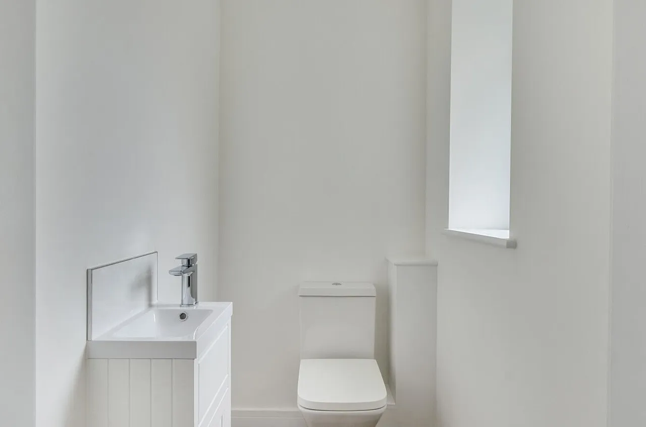 Lipyeate, Coleford, BA3, photo 9