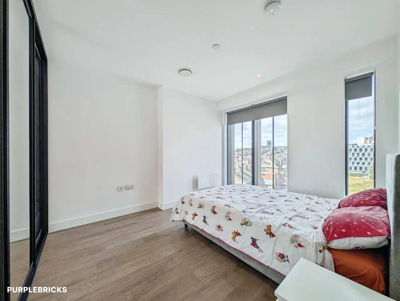 Rutherford Street, Newcastle Upon Tyne, NE4, photo 16