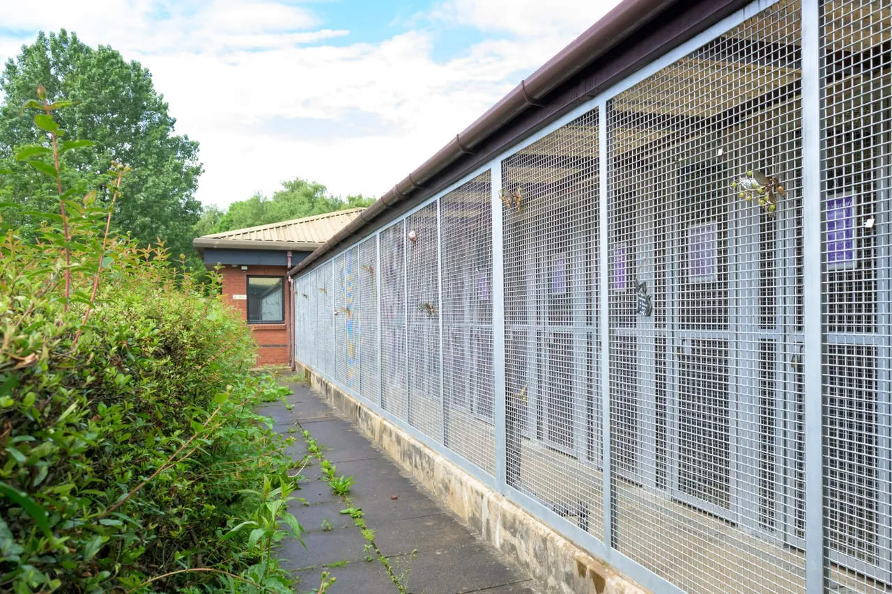 Dumbarton Road, Milton, Milton, G82 2UA, photo 14