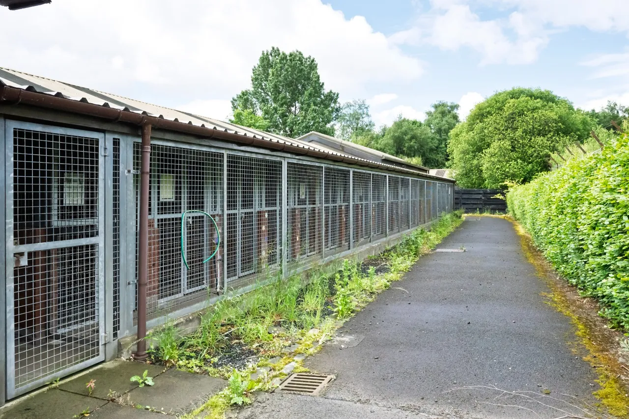 Dumbarton Road, Milton, Milton, G82 2UA, photo 13