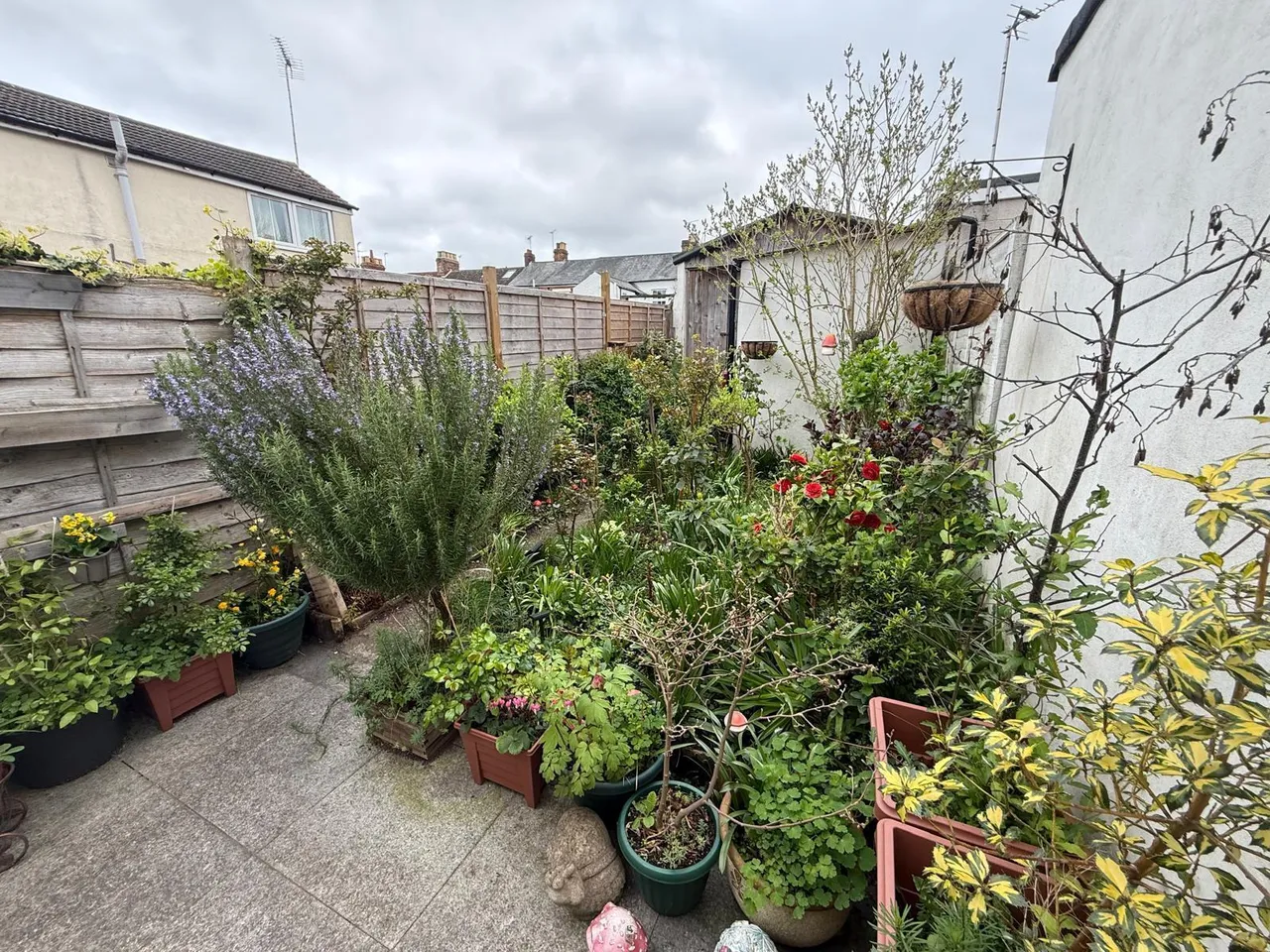 Albert Street, Aylesbury, HP20, photo 10