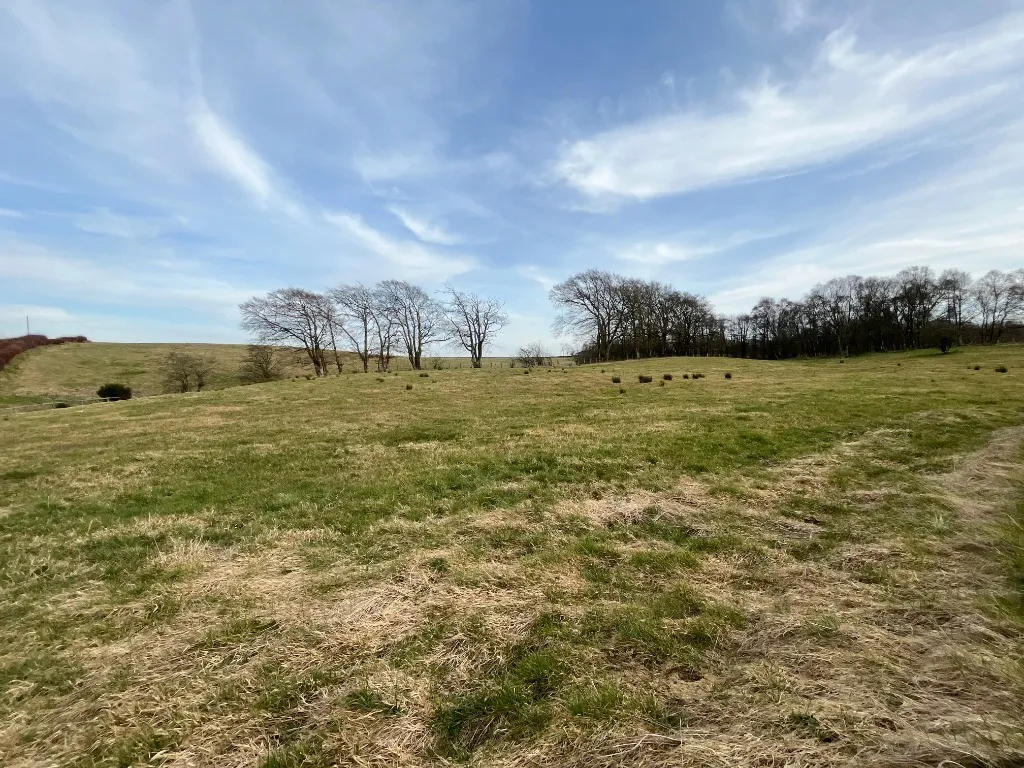 Off Craigthornhill Road, South Lanarkshire, Hamilton, ML3 7XN, photo 37
