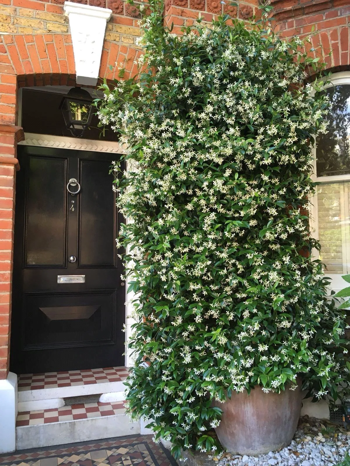 Soudan Road, London, SW11, photo 2