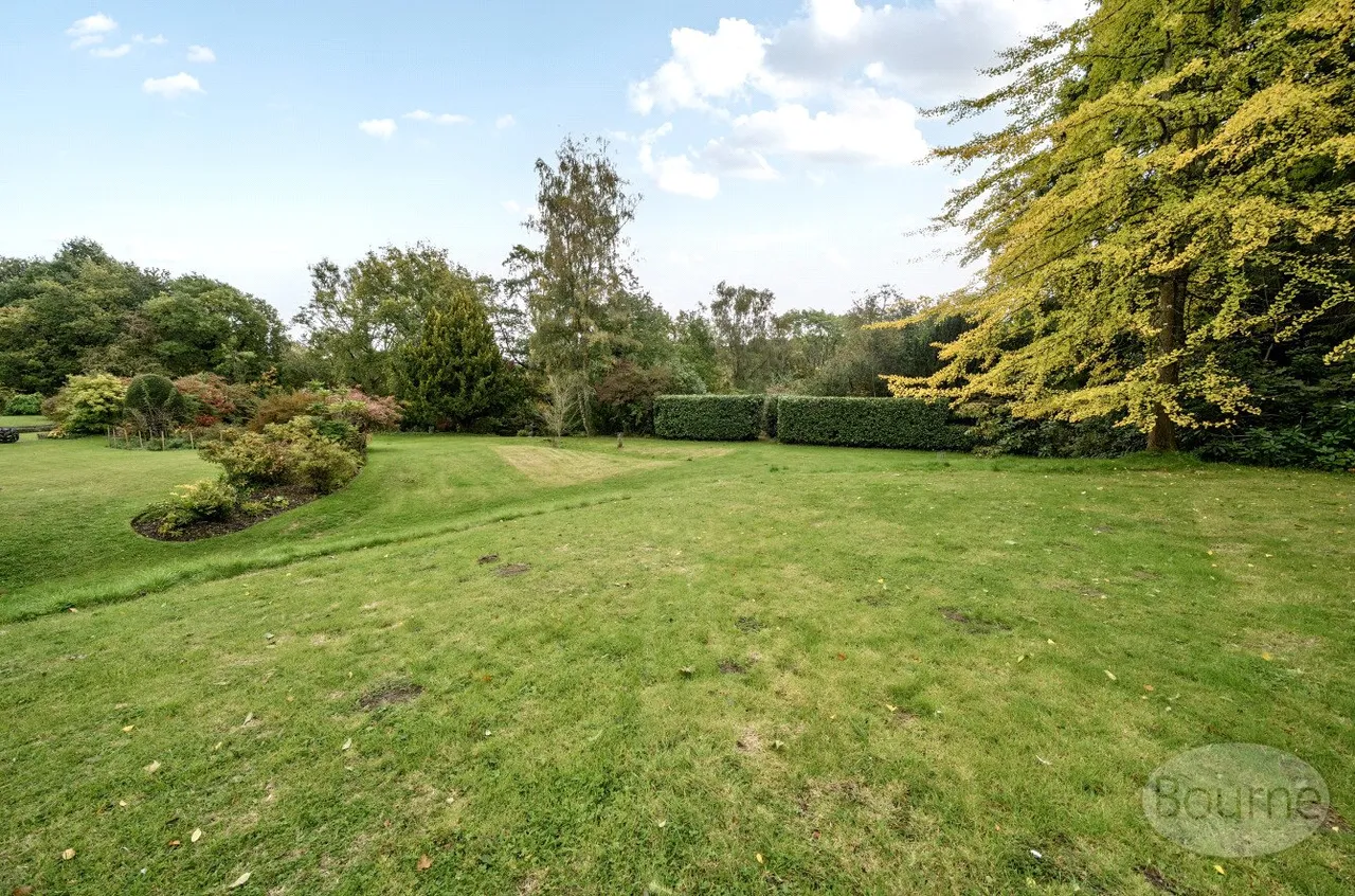 Hawkley, Liss, GU33, photo 16