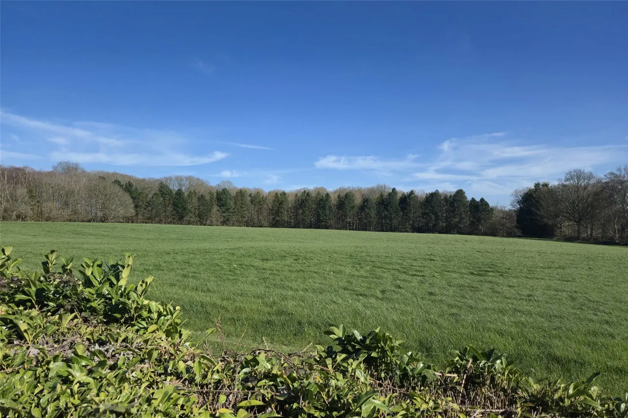 Colliers Green, Cranbrook, Kent, TN17 2LS, photo 3