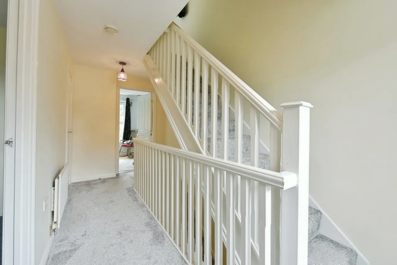 Beeches Hollow, Sheffield, South Yorkshire, S2, photo 8