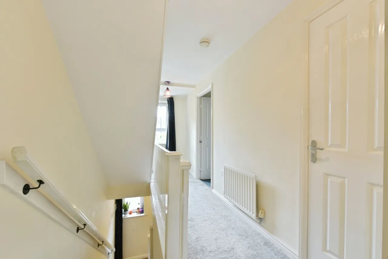 Beeches Hollow, Sheffield, South Yorkshire, S2, photo 14