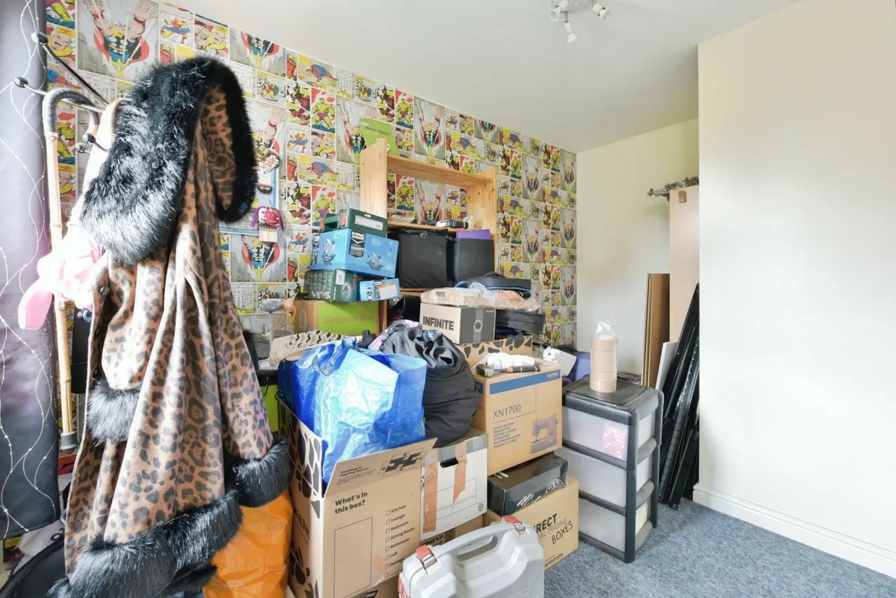 Beeches Hollow, Sheffield, South Yorkshire, S2, photo 12