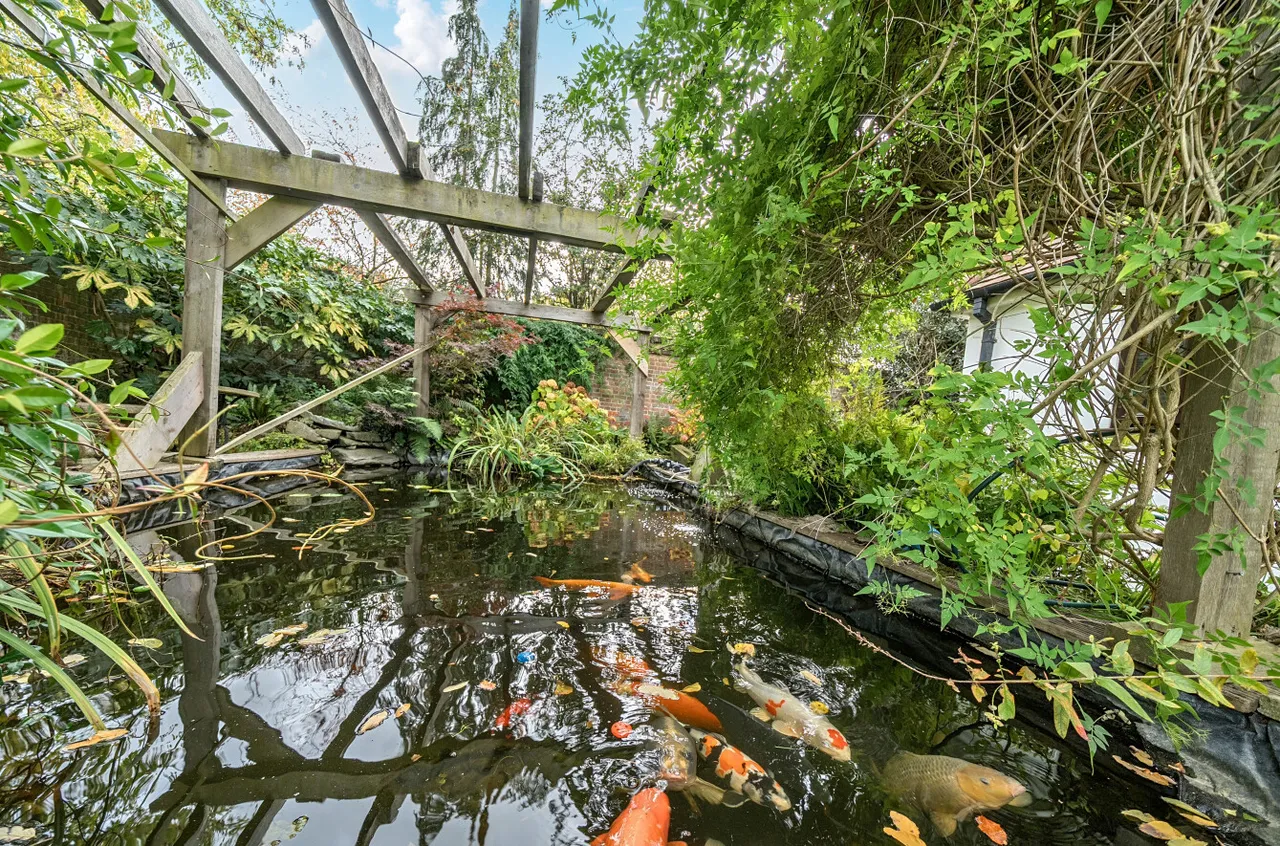 Holmesdale Road, South Darenth, DA4, photo 7