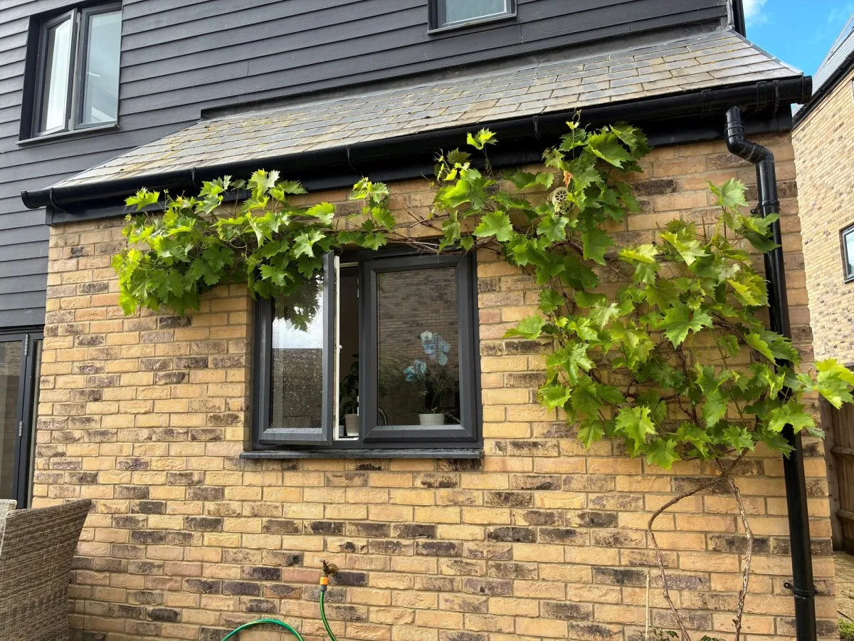 Britannia Road, Northstowe, CB24, photo 16