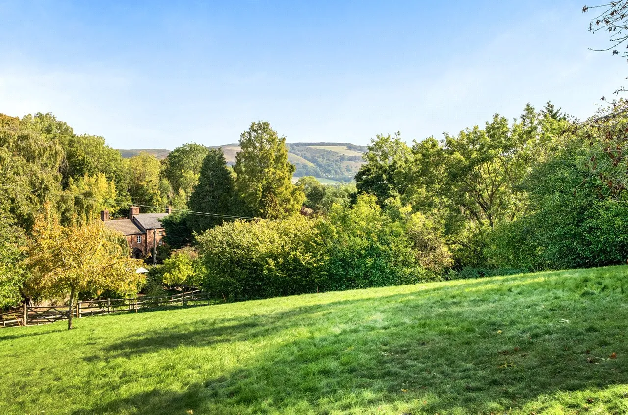 Lower Vellow, Williton, TA4, photo 37