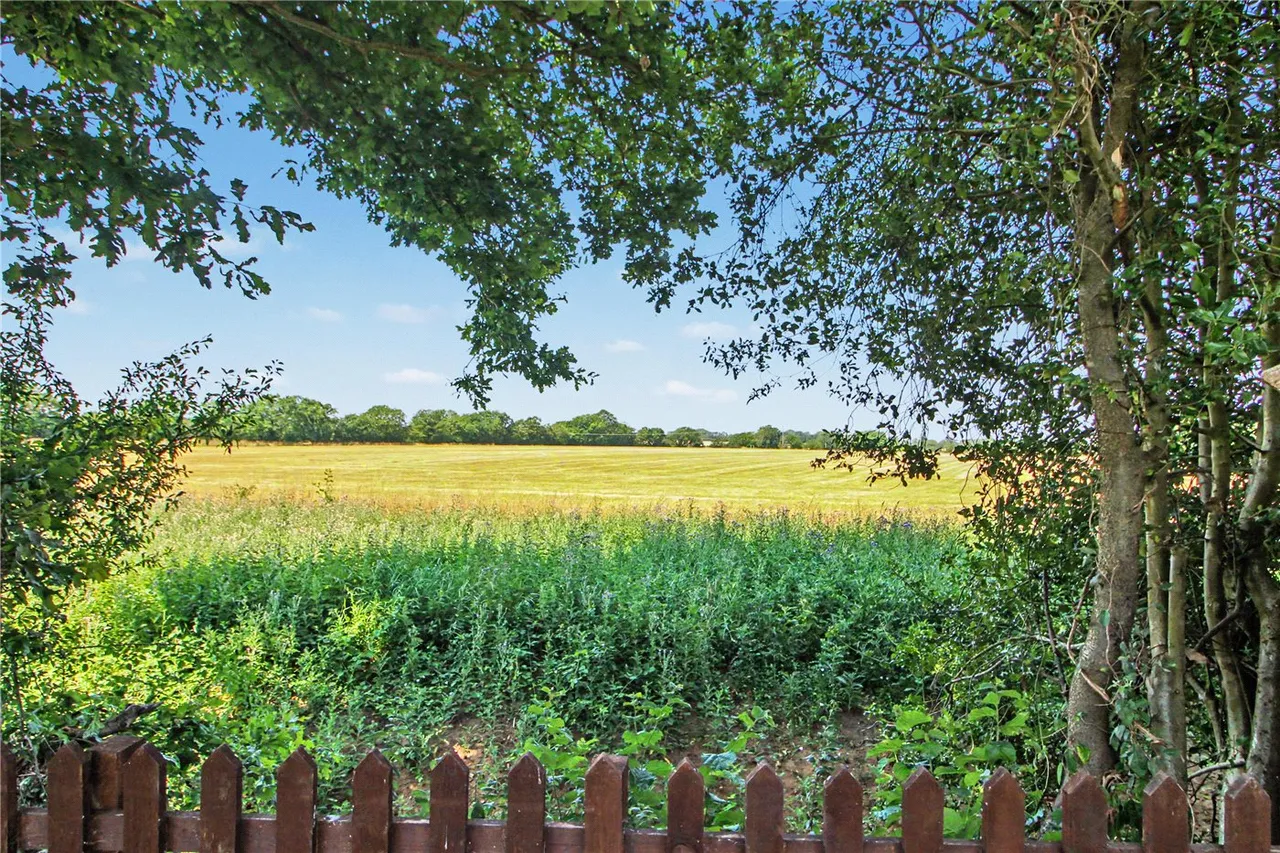 Limassol Road, Dereham, Norfolk, NR19, photo 3