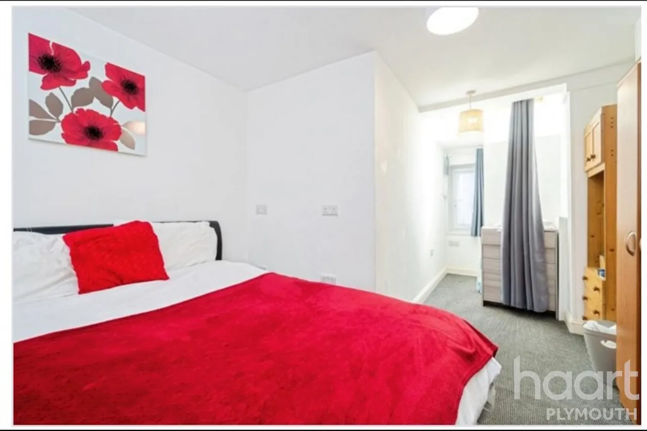 Ladysmith Road, Plymouth, PL4, photo 4