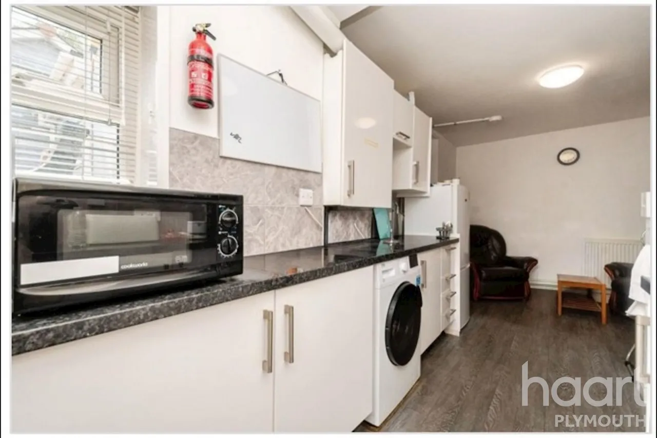 Ladysmith Road, Plymouth, PL4, photo 6