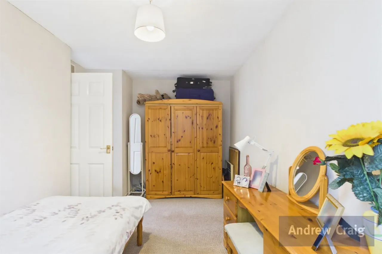 Coston Drive, South Shields, NE33, photo 11