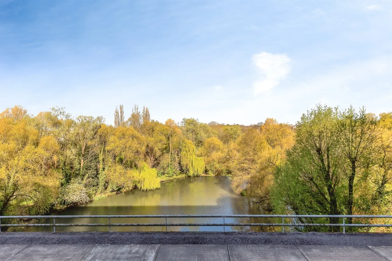 Lake Shore Drive, Bristol, BS13, photo 8