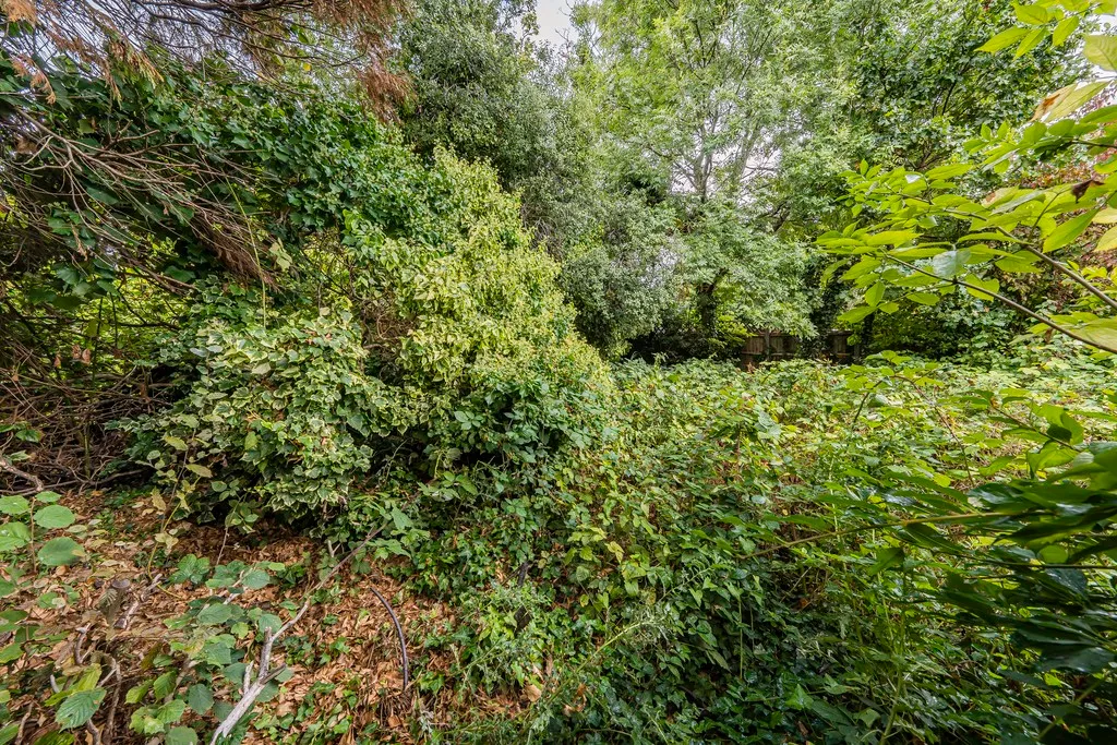 St Margarets Avenue, Hillingdon, UB8, photo 10