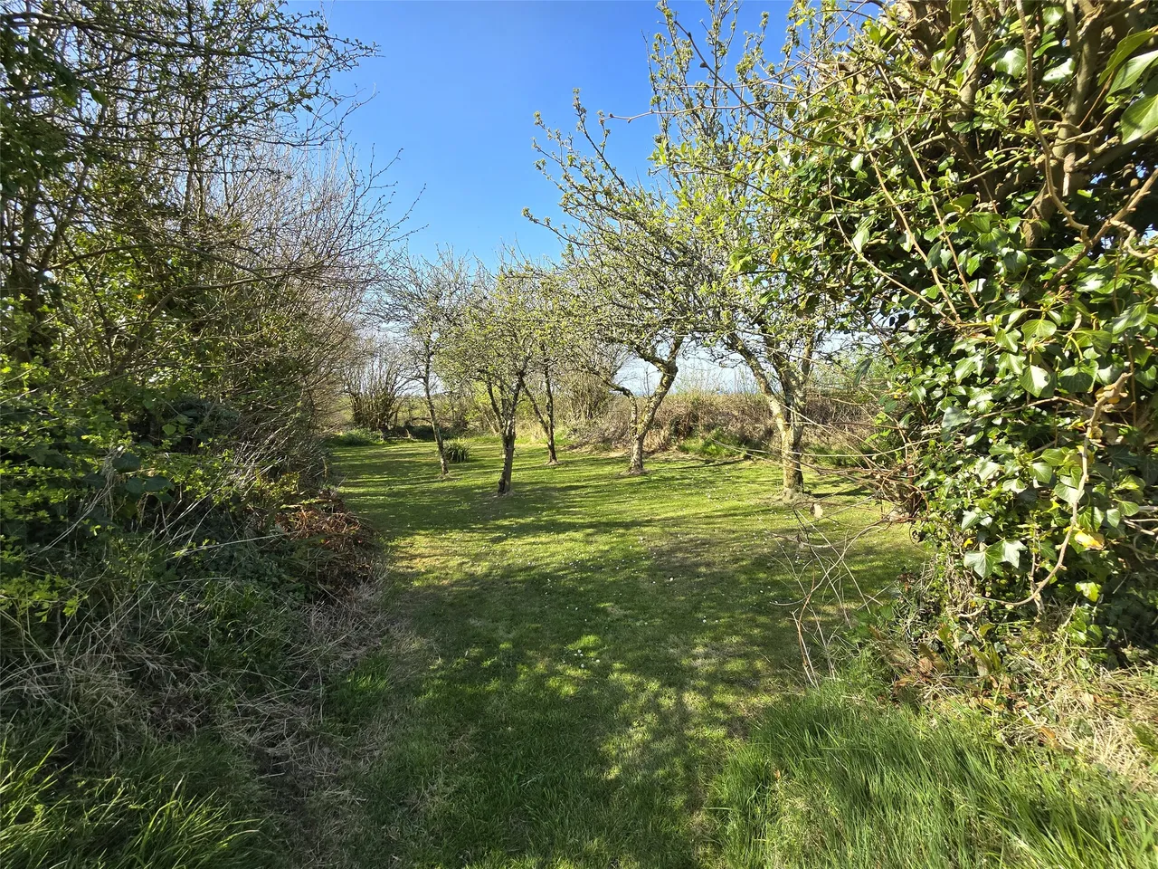 Crackington Haven, Bude, EX23, photo 15