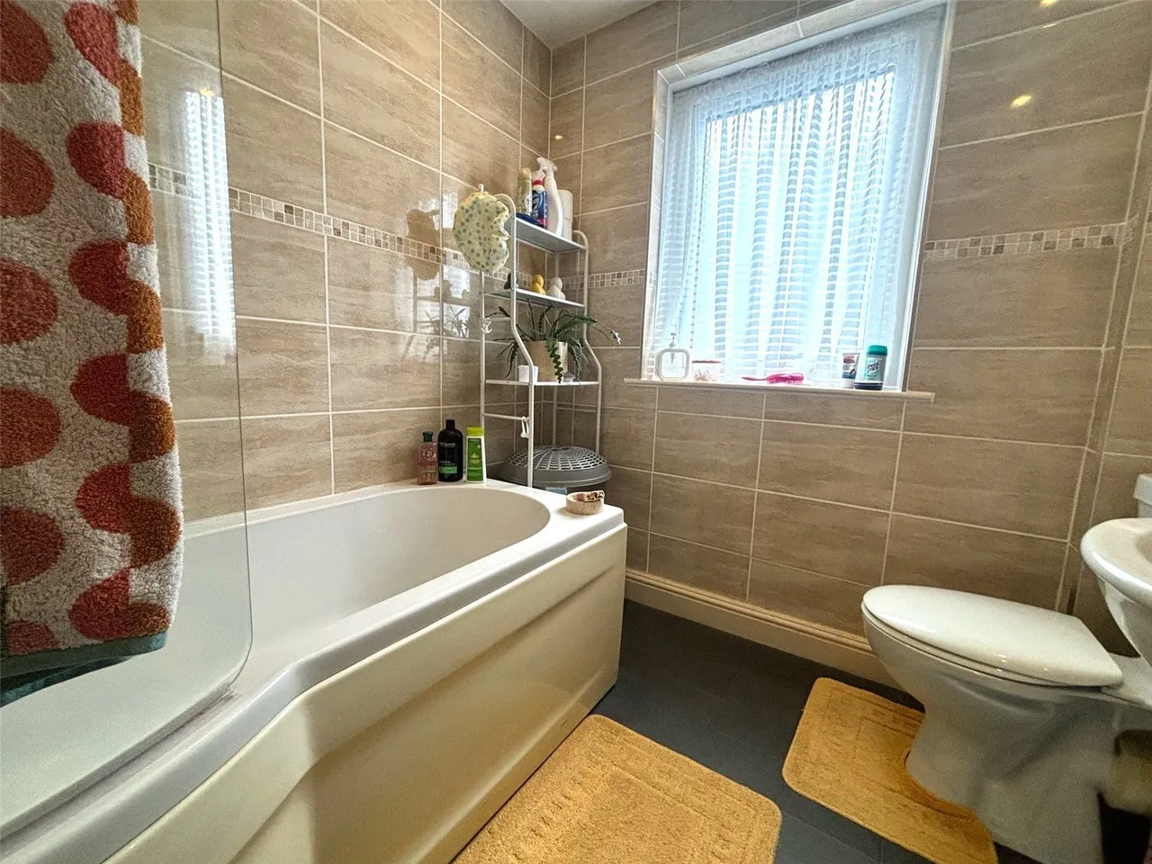 Brodog Lane, Fishguard, SA65, photo 12