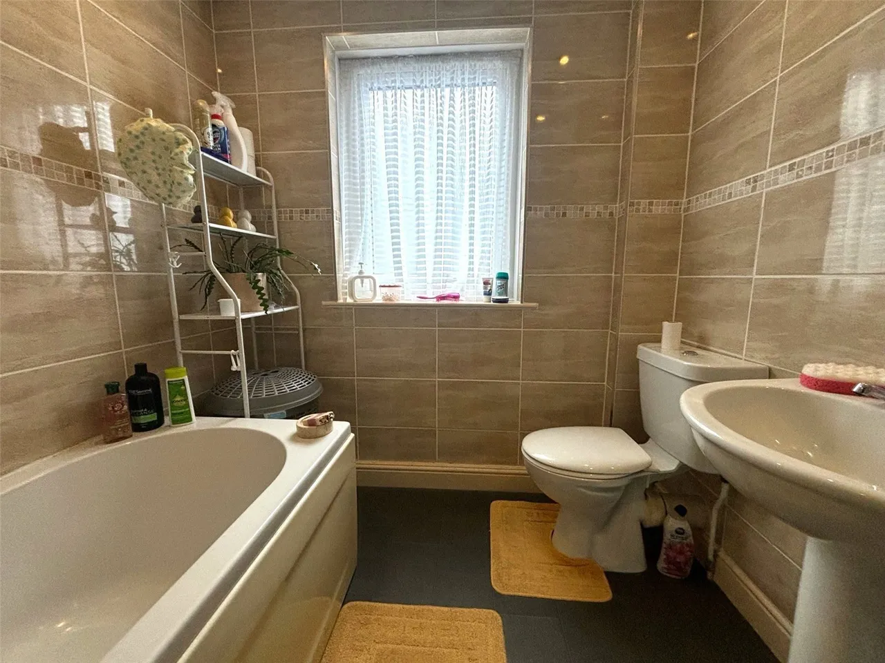 Brodog Lane, Fishguard, SA65, photo 15