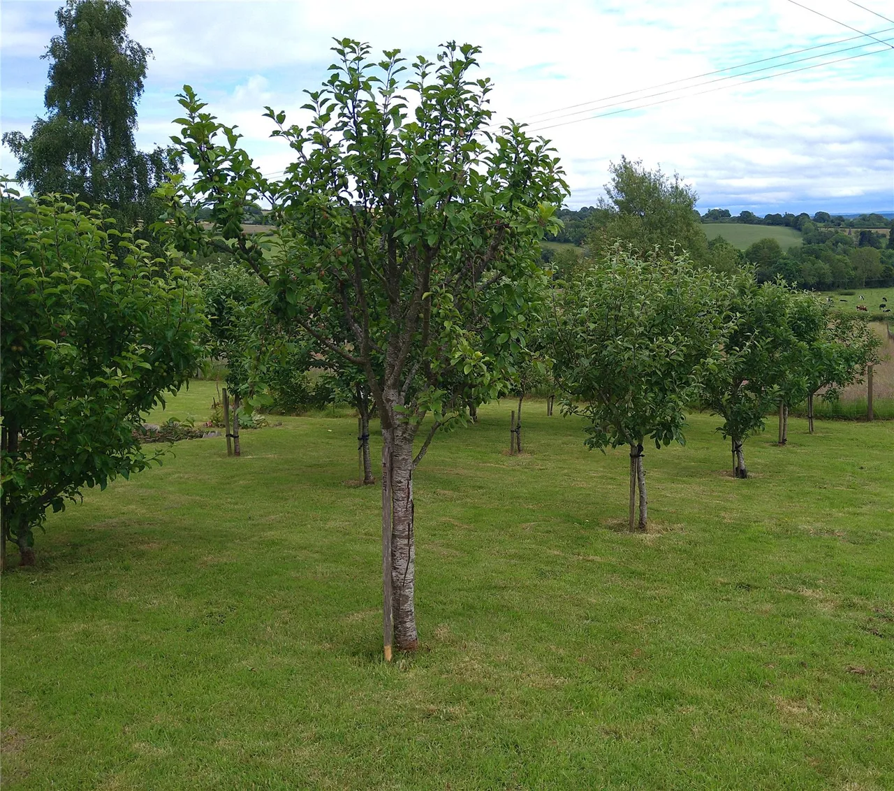 Nash, Ludlow, Shropshire, SY8 3AN, photo 21