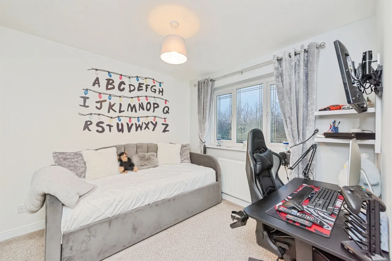 Lakeland Drive, Wilnecote, B77, photo 14