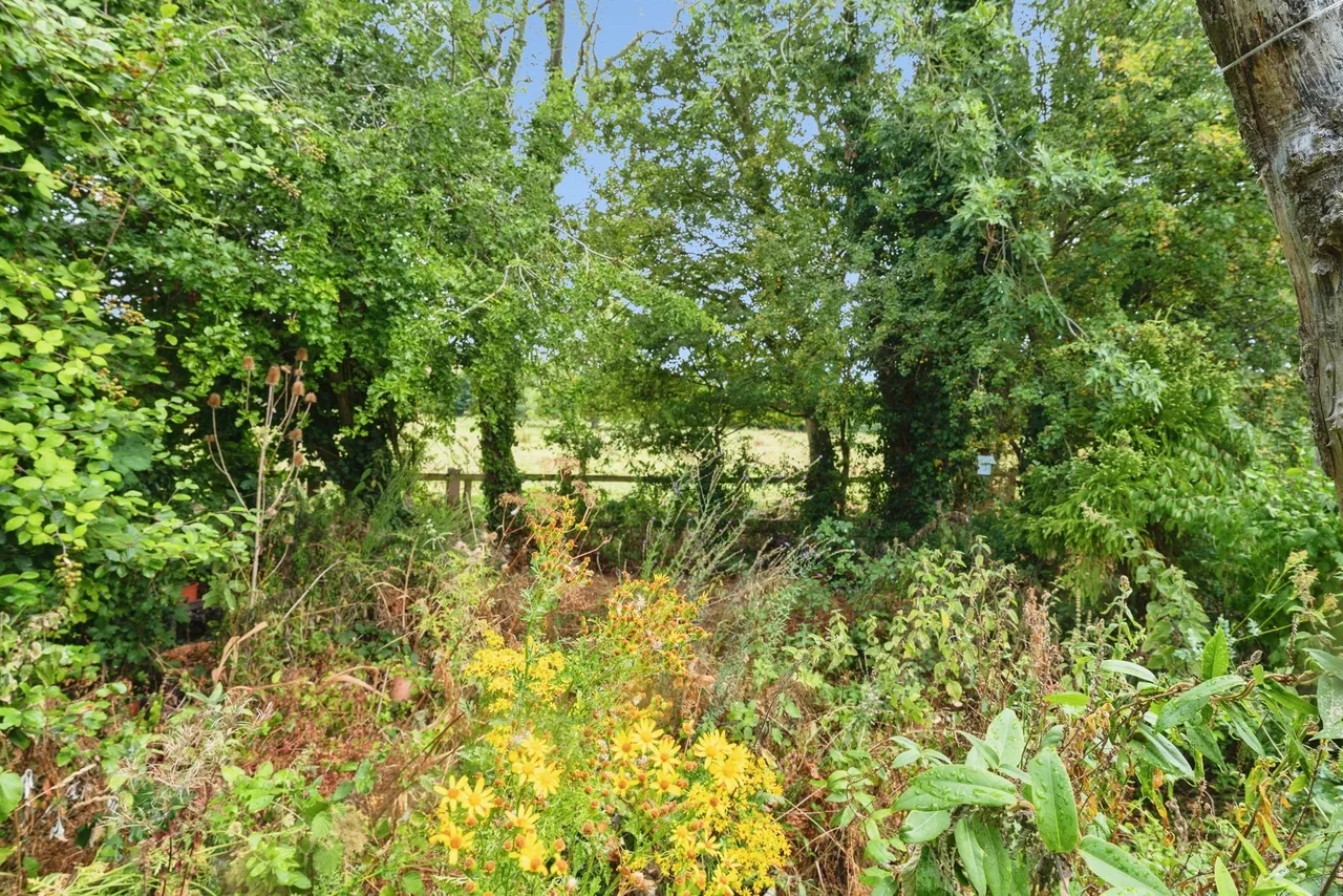 Thornage Road, Little Thornage, NR25, photo 17