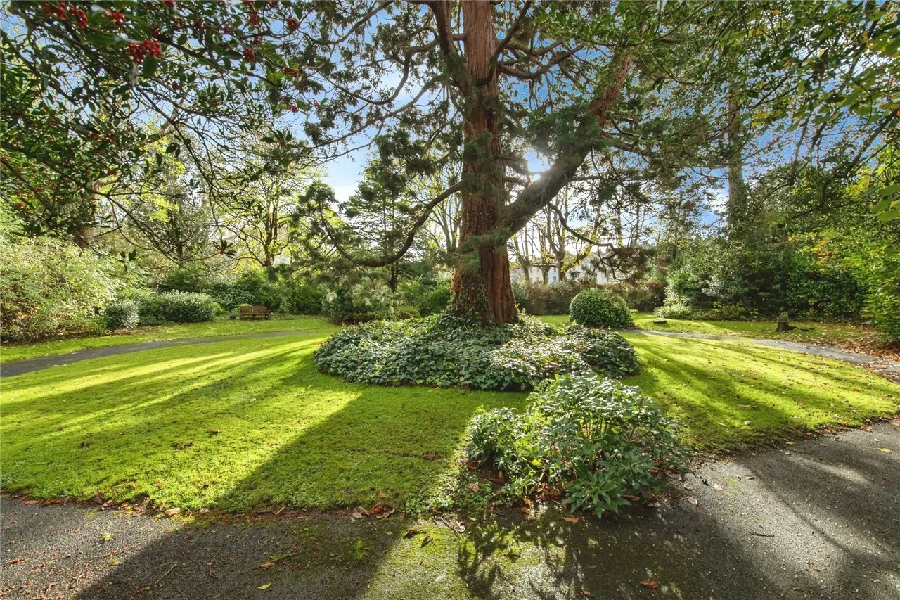Grosvenor Place, Exeter, EX1, photo 7