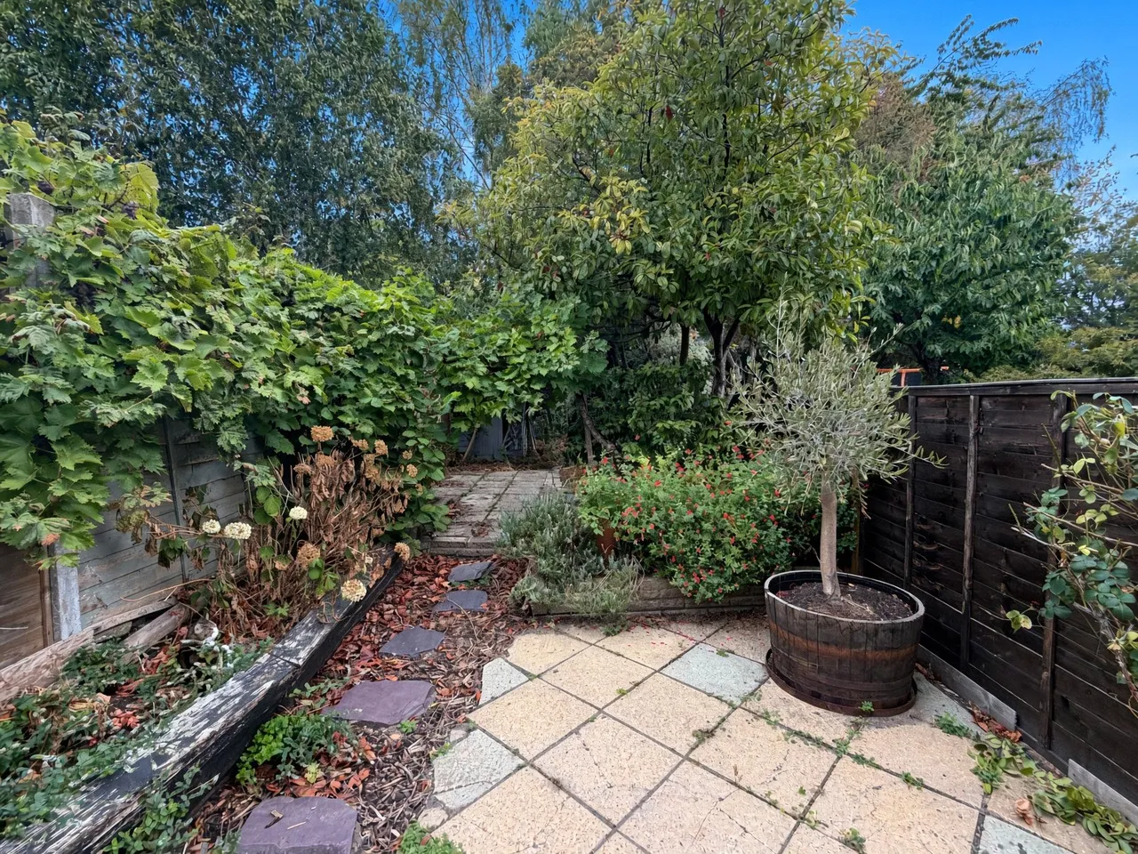 Belle Vue Road, Aldershot, Hampshire, GU12 4SA, photo 8