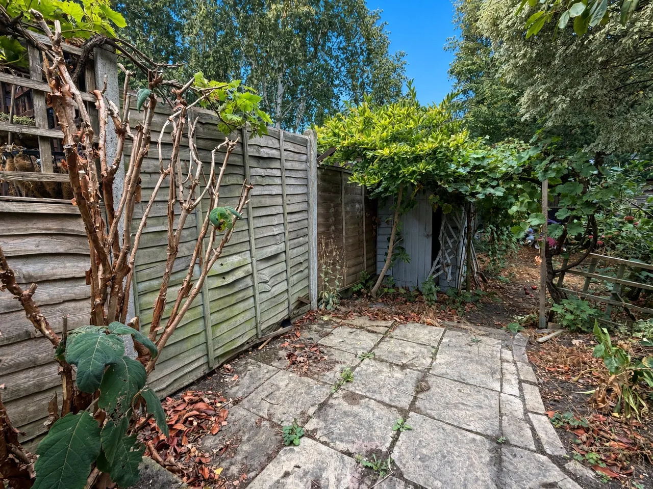 Belle Vue Road, Aldershot, Hampshire, GU12 4SA, photo 13