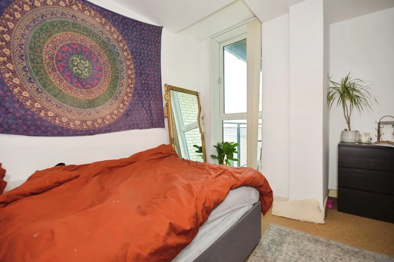 St. Marys Road, Sheffield, S2, photo 9