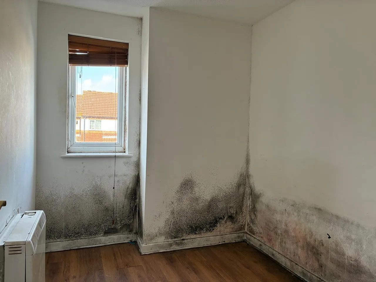 Mill Close, Wisbech, photo 7