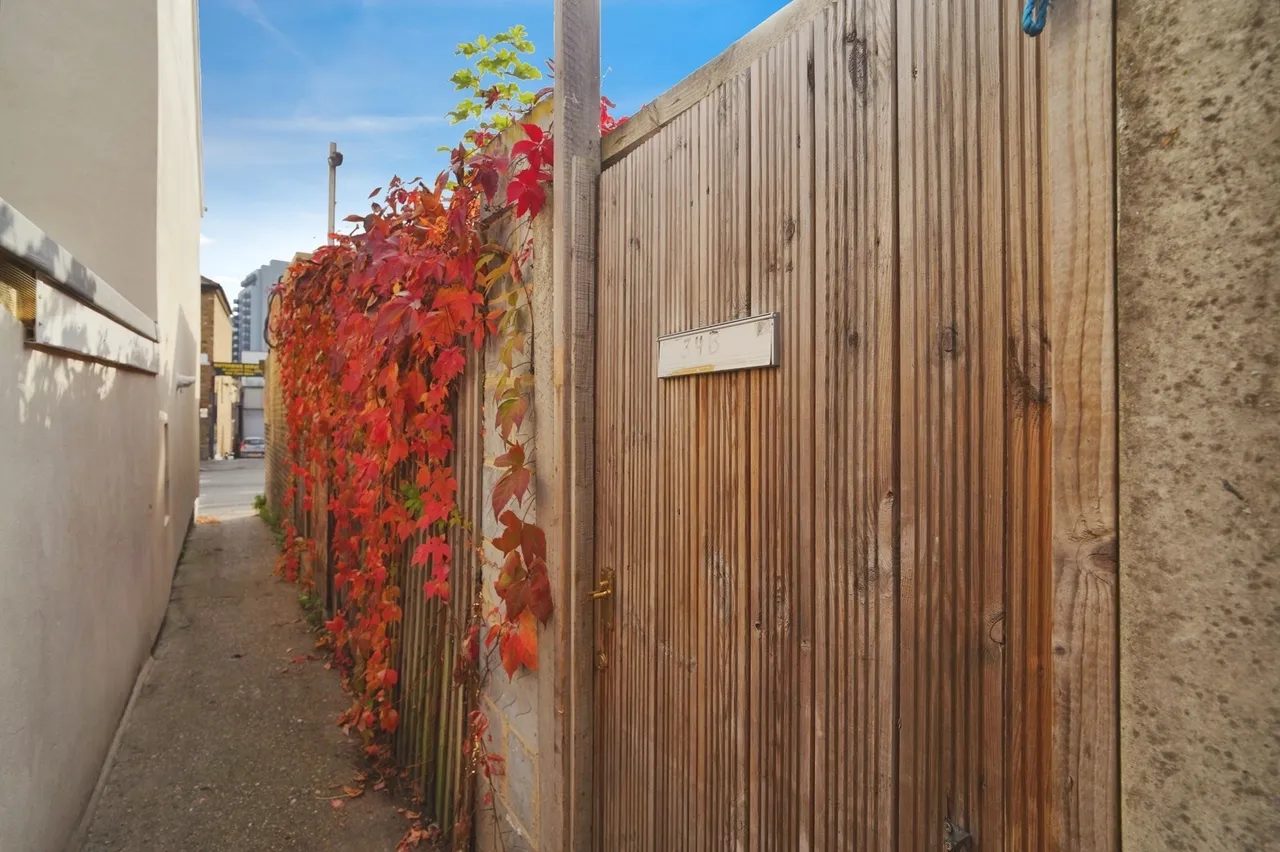Loampit Hill, London, SE13, photo 22