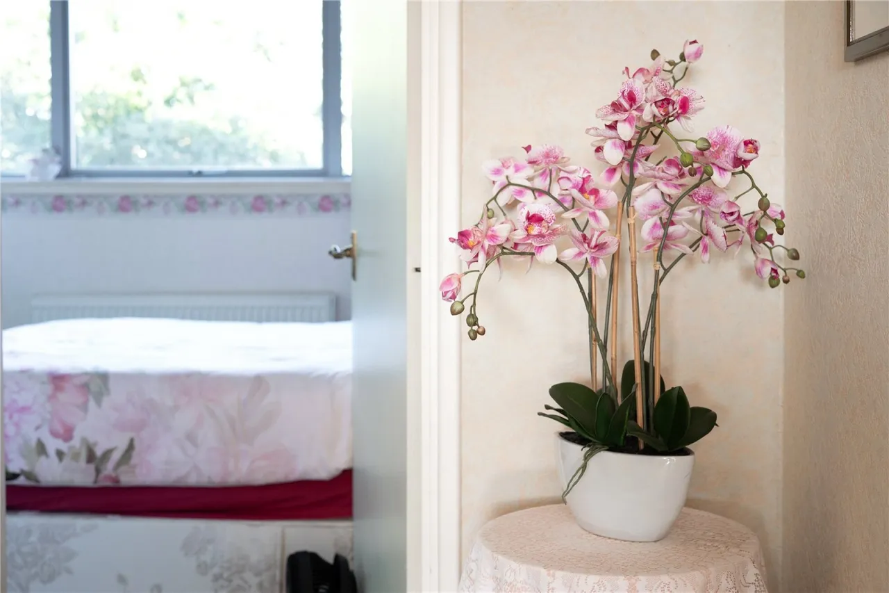 Claudia Place, Southfields, photo 14