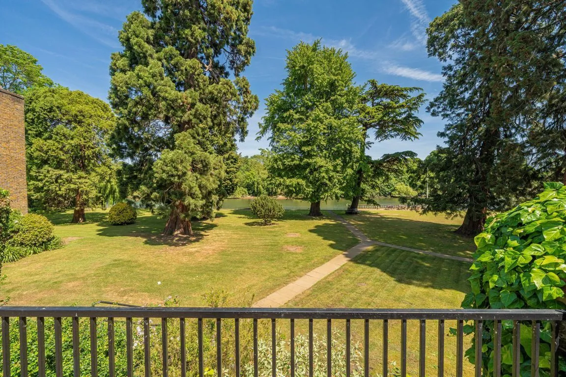 Twickenham Road, TW11, photo 8