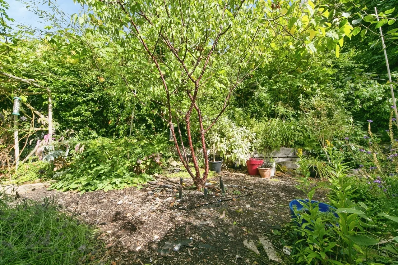 Rhyd-y-Foel, Abergele, LL22, photo 15
