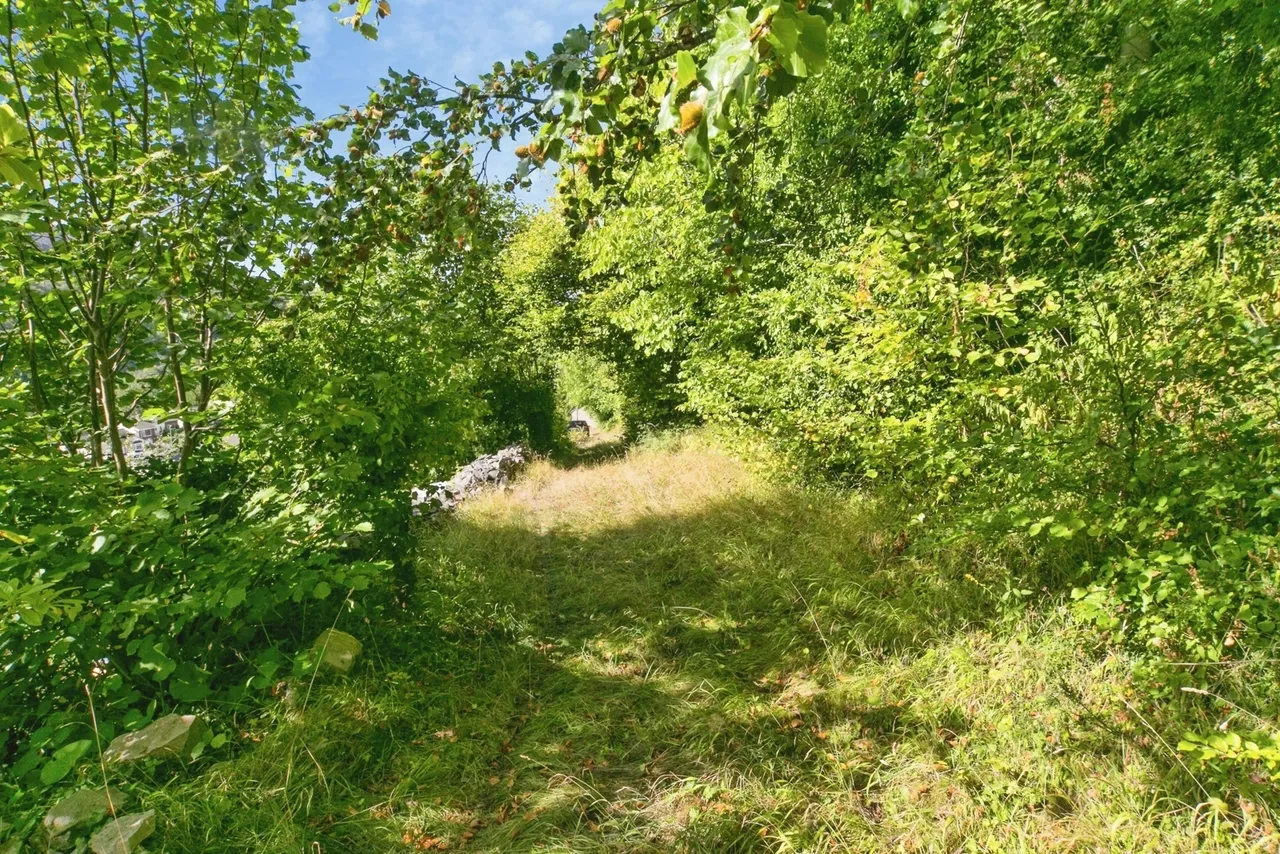 Rhyd-y-Foel, Abergele, LL22, photo 13