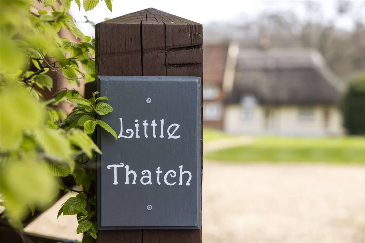 Broad Oak, Odiham, Hook, Hampshire, RG29 1AH, photo 4