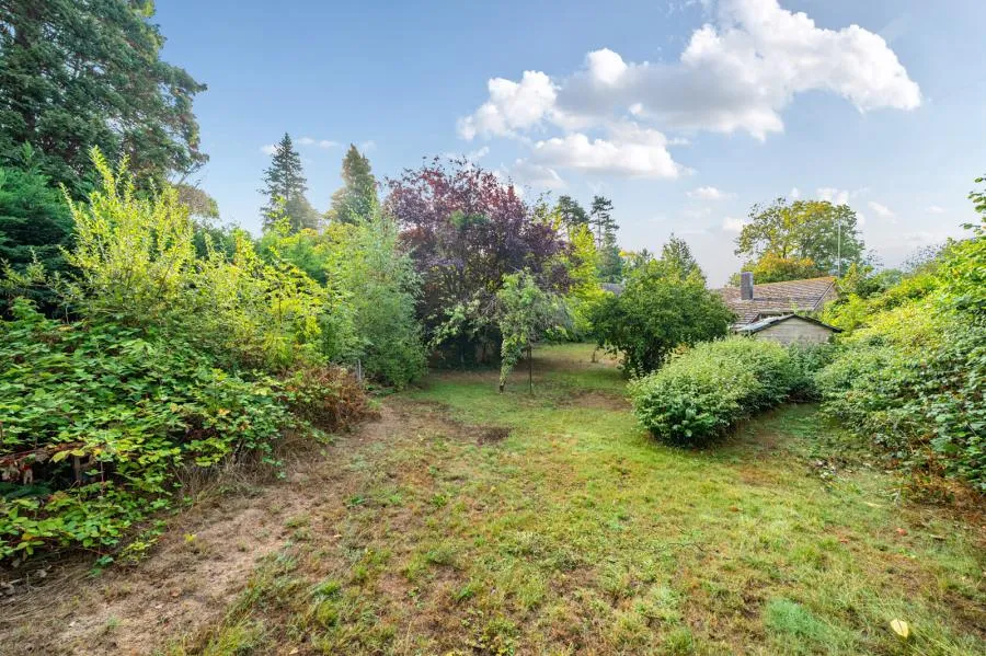 White Rose Lane, Woking, GU22, photo 13