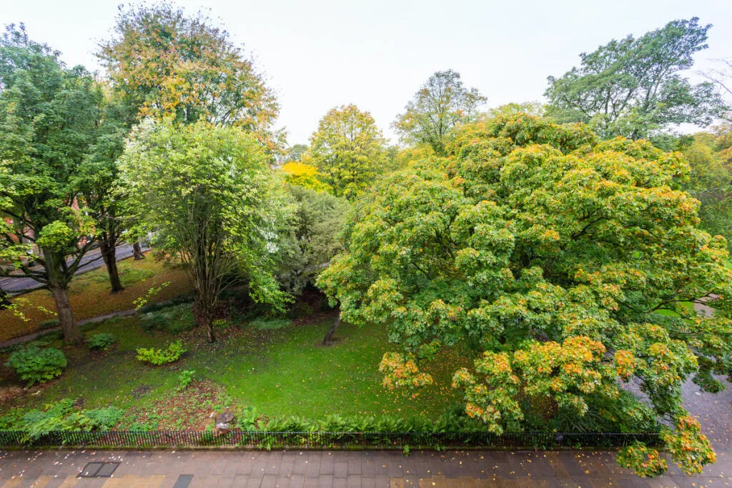 Winckley House, 16 Cross Street, Preston, Lancashire, PR1, photo 6
