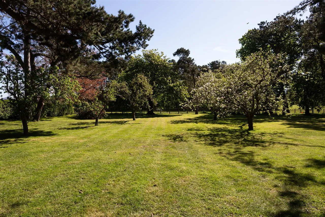Busby House & Annexe, Busby, photo 21