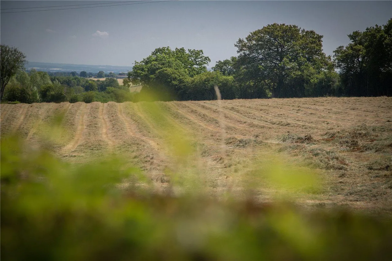 Tenbury Road, Clows Top, photo 26