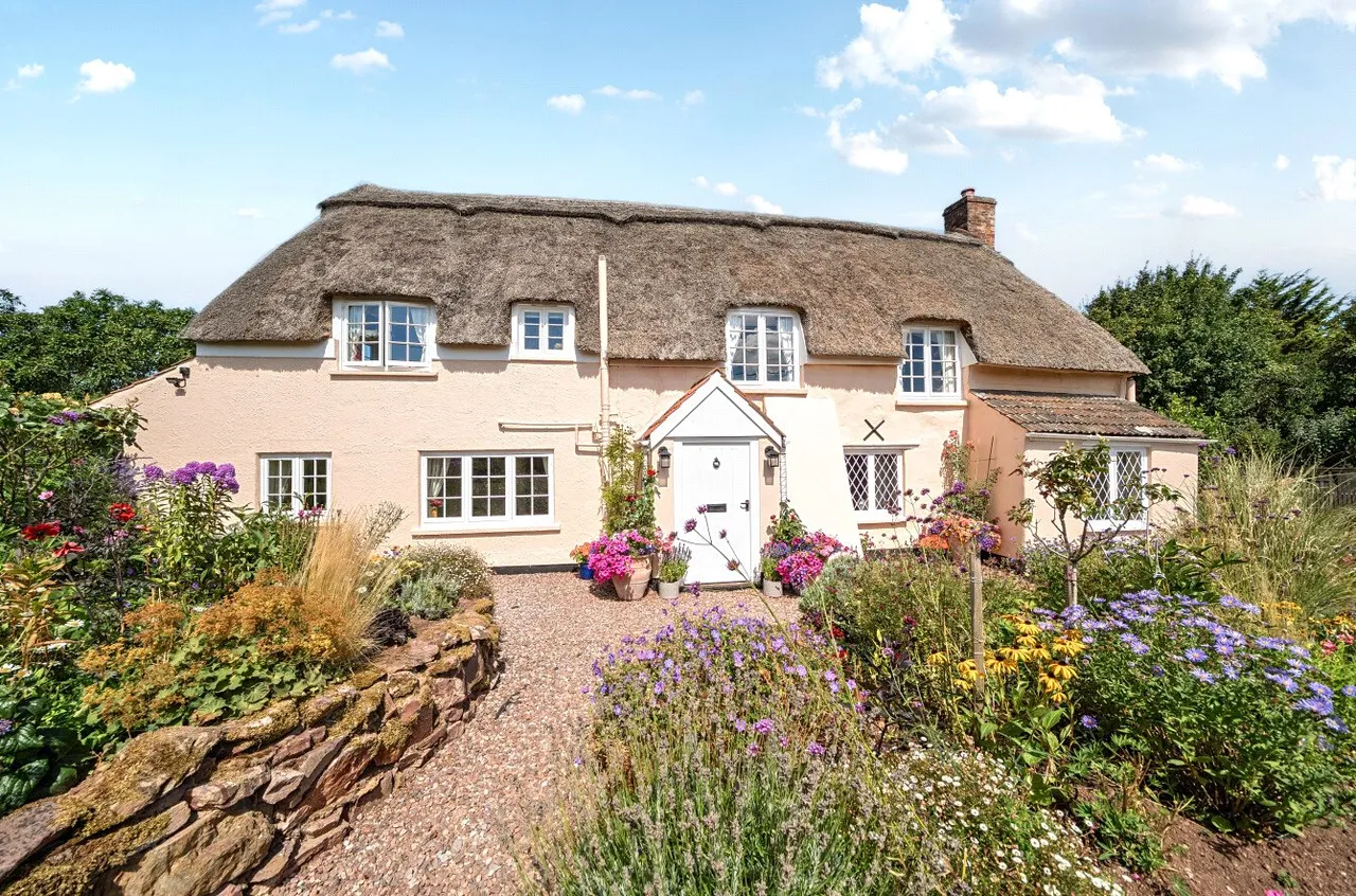 Spaxton, Bridgwater, Somerset, TA5 1AJ, photo 44